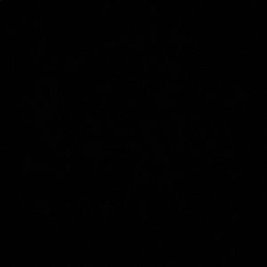 Meet your Posher, Emarae